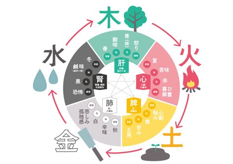 五行 健康|五行説の概要と人体との関係 